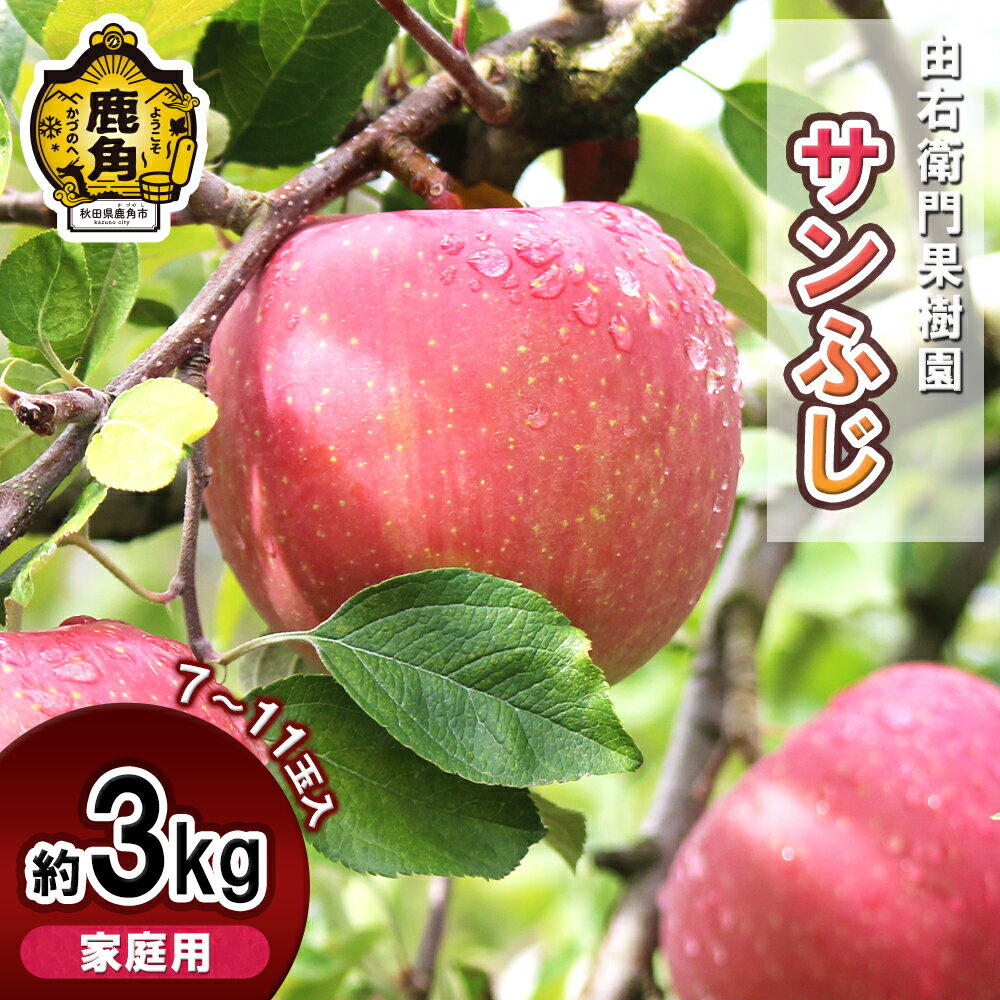 【ふるさと納税】 由右衛門果樹園 りんご 家庭用 「 サンふじ 」約3kg （ 7～11玉 ） リンゴ 完熟 旬 ふじ フジ 県産りんご お中元 お歳暮 グルメ ギフト 故郷 秋田 あきた 鹿角市 鹿角 送料無料 【由右衛門果樹園】