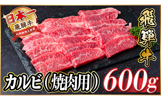 レビューキャンペーン実施中!飛騨牛　厳選カルビ(焼肉・BBQ用)600g　A4～A5等級　小分け【配送不可地域：離島】