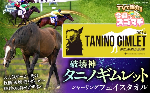 【破壊神タニノギムレット】シャーリングフェイスタオル 【 ふるさと納税 人気 おすすめ ランキング 馬 競馬 競走馬 引退馬 タニノギムレット タオル フェイスタオル 綿タオル 日高 北海道 平取町 びらとり 送料無料 】 BRTV109