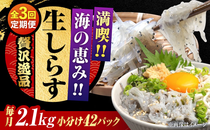 
            【全3回定期便】しらす 冷凍 生しらす 50g×42個 冷凍 しらす シラス 干し 釜揚げ 小分け 魚介類 鮮魚 ギフト 料理 レシピ シラス丼 しらす丼 海鮮丼 生 生産地 おつまみ ご飯のお供 グルメ やみつき 旬 国産 広島県産 リピート ギフト プレゼント 贈答 人気 高品質 好評 保存方法 江田島市/三島水産株式会社 [XCN017]
          