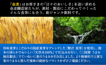 2ヶ月定期便“九州熊本産”金麦2ケース（計2回お届け 合計4ケース：350ml×96本）阿蘇の天然水100％仕込 ビール お酒 アルコール 熊本県御船町 (350ml×48本) ×2カ月《お申込み月の