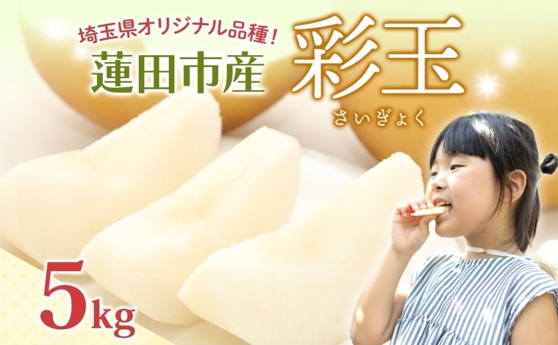 
            蓮田市産 日本梨 彩玉 5kg フルーツ 果物 ナシ なし 甘い みずみずしい シャリシャリ 食感 果汁 くだもの デザート おやつ お取り寄せ 産地直送 旬 ギフト 贈答用 家庭用 埼玉県 蓮田市
          