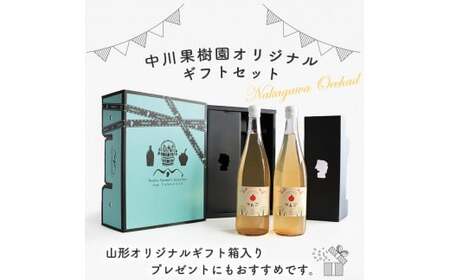 《ギフト箱》 樹上完熟 りんごジュース 720ml×2本セット　011-G-NG004