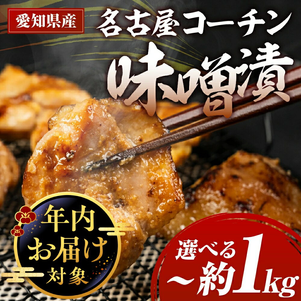 【ふるさと納税】名古屋コーチン味噌漬 400g ~ 800g 味付け肉 味付き肉 味付け 味付き 国産 もも むね 鶏肉 鳥肉 約 1kg 1キロ モモ ムネ もも むね 名古屋コーチン 地鶏 ブランド地鶏 とりもも とりむね 錦爽鶏 肉 お肉 冷凍 年末 年内 年内発送 年内配送 愛知県 豊橋市