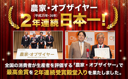 【先行予約】【2026年12月順次発送開始】秋にんじん 10kg にんじん BHCW006