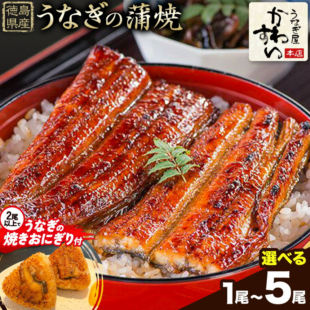 【ふるさと納税】＜数量限定・うなぎの焼きおにぎり付き！＞ うなぎ屋かわすい 国産うなぎの蒲焼 選べる尾数 1尾 2尾 3尾 4尾 5尾 川口水産株式会社《30日以内に出荷予定(土日祝除く)》うなぎ蒲焼 鰻 大 タレ 惣菜 丑の日 人気 うなぎ おすすめ 国産 個装