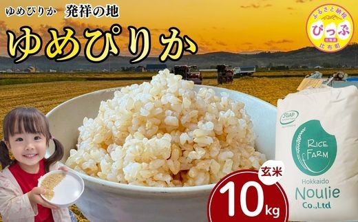 
                  【令和8年産 新米受付】 ゆめぴりか 玄米 10kg【農業生産法人ノウリエ】米 お米 北海道産 北海道米 特Aランク 国産 コメ 北海道 比布町 ぴっぷ 1017-022
                