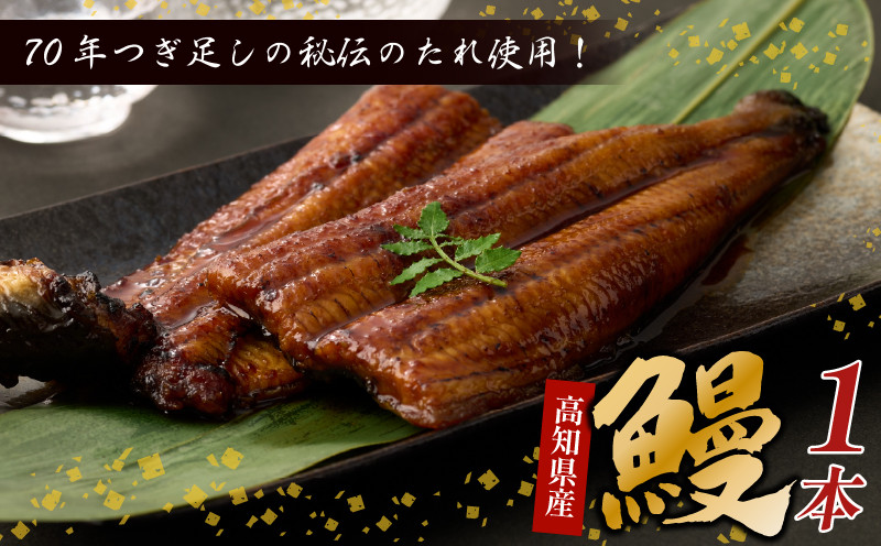 
７０年つぎ足しの秘伝のたれ！初音の高知県産うなぎ蒲焼き１尾 ＿ 国産 ウナギ 鰻 うなぎ 蒲焼き 秘伝のタレ 土用の丑の日 配送可
