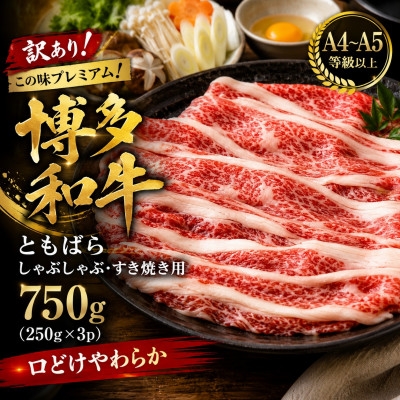 
                  訳あり!この味プレミアム!＜A4～A5＞博多和牛ともばらしゃぶしゃぶすき焼き用 750g(大野城市)【1750632】
                