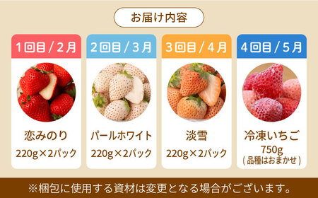 【先行予約】【4回定期便】希少いちご 赤白食べ比べ / いちご イチゴ 苺 いちご イチゴ いちご いちご いちご [IZZ005]