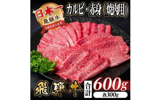 飛騨牛 厳選カルビ・赤身(焼肉・BBQ用)600g　小分け　黒毛和牛　A4～A5等級_牛肉 飛騨牛 国産牛 カルビ 赤身 焼肉 BBQ A4 A5 モモ カタ 冷凍 人気 おすすめ 送料無料 贈答 ギフト ＜配送不可地域：離島＞【1543762】