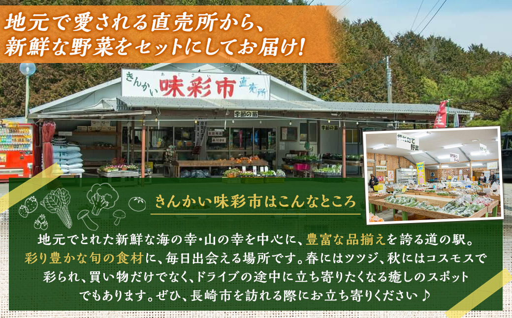 【全6回定期便】 農産物直売所おすすめ！ 旬野菜 セット 5〜10品目 ／ やさい 旬 野菜 詰合せ 詰め合わせ 新鮮 産地直送 ふるさと おまかせ お楽しみ きんかい味彩市 長崎県 長崎市