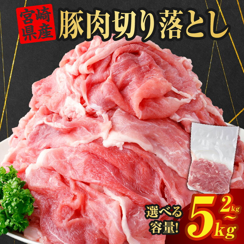 【ふるさと納税】【数量・発送時期が選べる】宮崎県産 豚肉切り落とし 250g 合計2kg~5kg 豚 肉 お肉 精肉 豚肉 切り落とし 国産 国産豚肉 小分け ふるさと グルメ お取り寄せ 真空パック 宮崎 簡単調理 贈答 特産品 宮崎県 串間市 送料無料