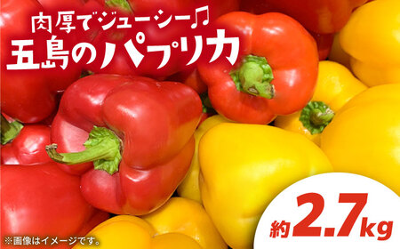 【肉厚ジューシー】五島のパプリカ 約2.7kg 五島市/HPIファーム  [PCP003]  野菜 やさい 国産 新鮮 緑黄色野菜 産地直送 とれたて
