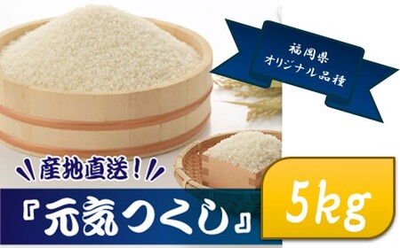 AE226.特Ａも獲得した自慢のお米『元気つくし』５ｋｇ【元気つくし】
