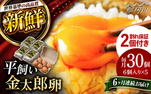 【全6回定期便】【TVで紹介！】鮮度ＡＡ級の世界最高ランク！金太郎卵 平飼い 卵 30個（6個×5パック）＜有限会社 フジノ香花園＞那珂川市 卵 金太郎卵 有精卵 平飼い 卵 平飼い卵 たまご [GAM018]