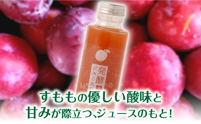 発酵ジュースのもと〈日田すもも〉 110ml×5本 日田市 / 株式会社インパクト [ARDA005]