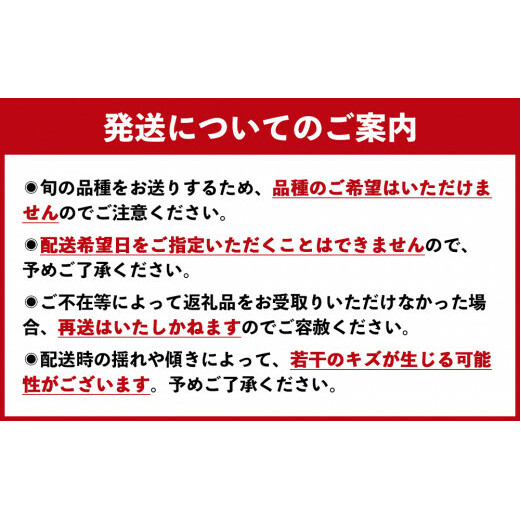 【予約受付中・8月上旬頃より順次発送】 川添果樹園の特選梨 約5kg フルーツ 果物 梨 ナシ 完熟梨 季節の梨 旬の梨 秋の梨 鳴門の梨 くだもの 季節の果物 旬の果物 秋の果物 鳴門の果物 完熟フ