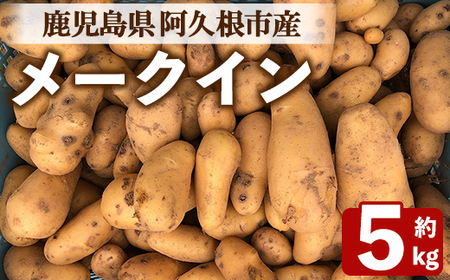 ＜先行予約受付中！2026年6月以降順次発送予定＞じゃがいも メークイン(5kg) 国産 鹿児島県産 阿久根市産 じゃがいも ジャガイモ 芋 ポテト 野菜 期間限定 数量限定 スープ カレー シチュー 常温 常温配送 【慶越農園】akn107-05