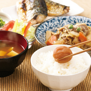紀州南高梅　うす塩味1.2kg