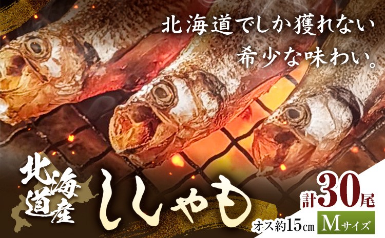 
                  北海道産 ししゃも オス M30尾 有限会社阿部水産《14日以内に出荷予定》北海道 日高町 国産 魚 シシャモ 魚介 海鮮 グルメ 食べ物
                