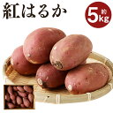 【ふるさと納税】紅はるか 約5kg サツマイモ さつま芋 芋 野菜 いも 熊本県産 九州産 国産 送料無料【2024年9月上旬～2025年7月上旬に順次発送予定】