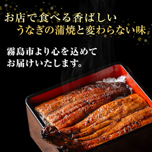 K-040 薩摩とろ鰻蒲焼(計280g：140g×2尾)【株式会社志】
