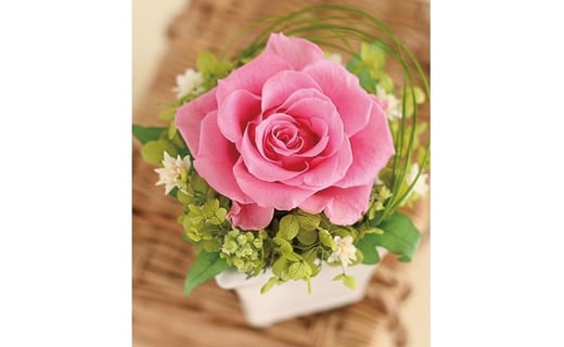 プリザーブドフラワー プチローズ（ジュリアオレンジ）