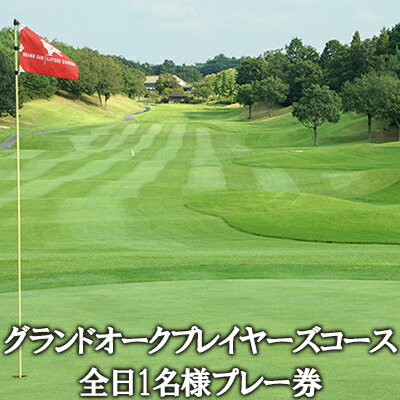 【ふるさと納税】グランドオーク プレイヤーズコース 全日 1名様 プレー券 [ ゴルフ 加東市 兵庫県 関西 ゴルフ場 ]　ゴルフ場利用権