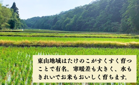 【先行予約】令和8年産 コシヒカリ 精米 5kg  コシヒカリ こしひかり 元田農産