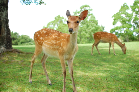 貸切観光タクシー 5時間 フリーコースプラン