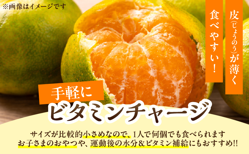 極早生みかん 計4.5kg 傷み補償分付き 期間限定 果物 くだもの フルーツ 蜜柑 ミカン 柑橘 オレンジ おやつ デザート みかんジュース 飲み物 小さい ビタミン補給 おすすめ おすそ分け 国産