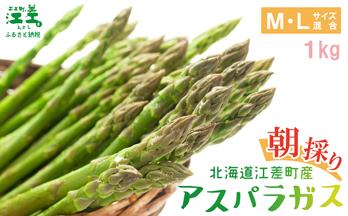 【夏芽 予約受付 6月中旬〜順次出荷】2025年 北海道江差町産 アスパラガス【M〜Lサイズ】 1kg　30〜40本　朝採り　農家直送　新鮮　鮮度保持　北海道　旬野菜　グリーンアスパラ　アスパラ　ギフト　贈答