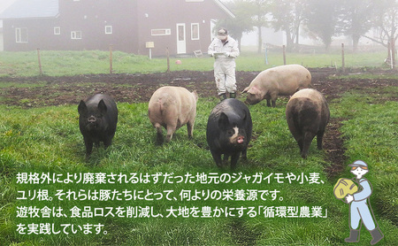 放牧豚 遊ぶた 600g プチしゃぶしゃぶセット 豚肉