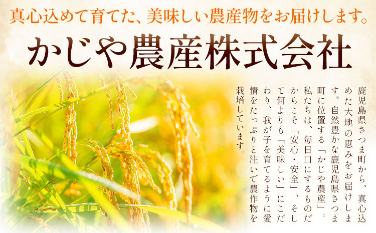 s066 【令和7年産・新米】鹿児島県さつま町産 あきほなみ(5kg) 鹿児島県産 あきほなみ 農家直送 ブランド米 お米 こめ 白米 ごはん ご飯 新米 【かじや農産】