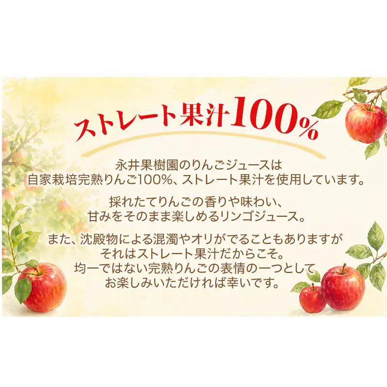 果汁100％りんごジュース 1L×12本 サンふじ ジュース ドリンク 信州 長野