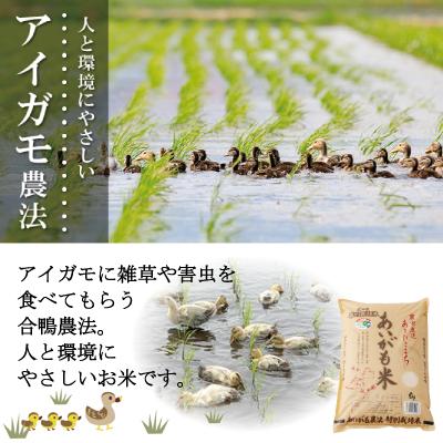 ふるさと納税 大館市 【新米】令和7年産秋田県特別栽培米あきたこまち「あいがも米」5kg |  | 01