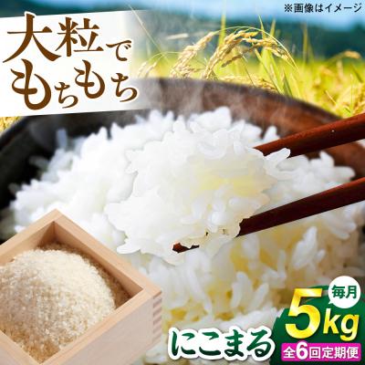 ふるさと納税 糸島市 【全6回定期便】 にこまる 玄米品質1等米 白米 5kg 糸島市産 [AGR009]