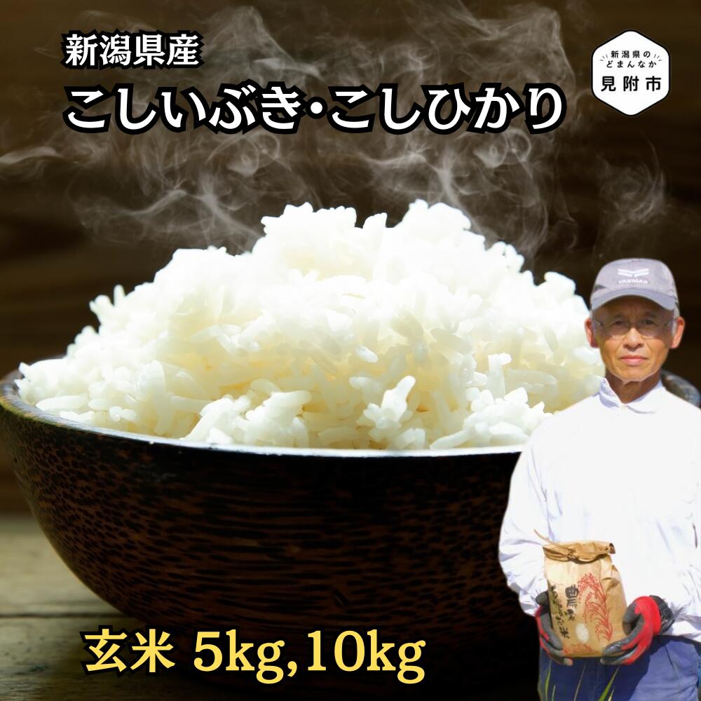 【ふるさと納税】玄米 こしひかり こしいぶき 新潟県産 5kg 10kg 米