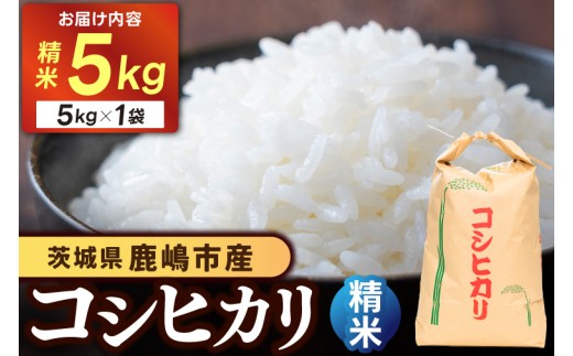 【先行予約】 新米 コシヒカリ 米 5kg 精米 白米 ブランド米 数量限定 国産 おむすび おにぎり 弁当 美味しい グルメ 白飯 飯 ごはん ご飯 コメ おこめ こめ ※ okome kome 朝食 贈答 贈り物 お取り寄せ 産地直送 ギフト こしひかり 鹿嶋市産 令和8年産 茨城県 鹿嶋市 【10月以降順次発送】