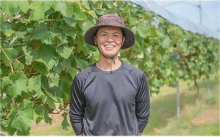 【先行予約】農業者支援 ぶどう マイハート 2〜3房セット ご家庭用 令和8年産 2026年産 山形県山辺町産 フルーツ 果物 ※沖縄・離島への配送不可 bg-bumxk1000