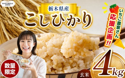 【栃木県共通返礼品】  【先行予約】訳あり 数量 限定 令和8年度産 こしひかり コシヒカリ 約 4kg | こしひかり コシヒカリ お米 ご飯 okome 玄米 白米 ごはん おいしい  ふるさと納税 那珂川町 栃木県
