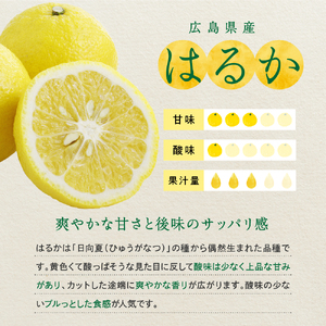 先行受付 2027年2月上旬～発送 はるか 約5kg 上神農園 柑橘