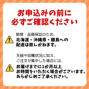 大粒 肉厚国産 生しいたけ 11粒 ＋ 乾ししいたけ (スライス50ｇ×２) | しいたけ  株式会社レインボー