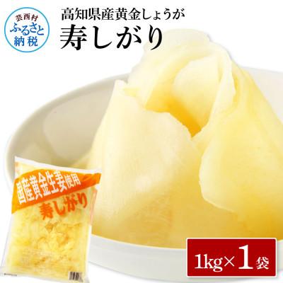 ふるさと納税 芸西村 国産黄金しょうが寿しがり　1kg×1袋【SNS014】
