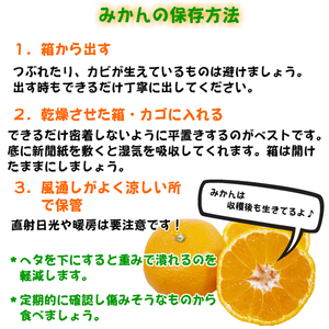BD7005_有田の高級みかん【田村みかん】秀品！たっぷり 10kg ギフトにもオススメ (S～Lサイズおまかせ) 2025年1月発送