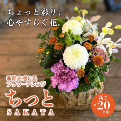 ふるさと納税 酒田市 季節を感じるフラワーアレンジ「SAKATA ちっと」 忙しい毎日にも、ちっとの花が心を潤す