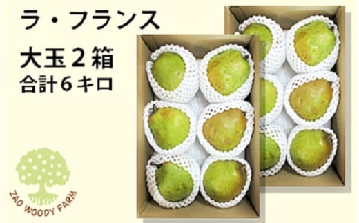 西洋梨（ラ・フランス）６ｋｇ　大玉　ご家庭用　0062-2505