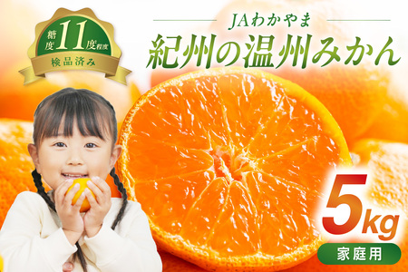 【1262-1】JAわかやま　紀州の温州みかん（家庭用）5kg