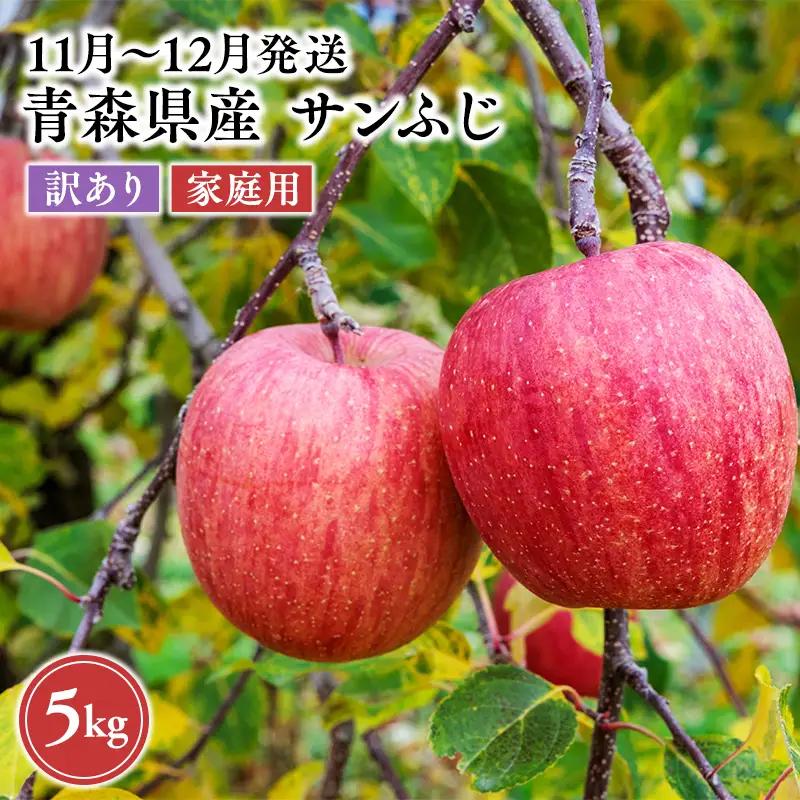 りんご 家庭用 サンふじ 約5kg りんご